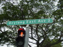 Blk 129 Geylang East Avenue 2 (S)380129 #96352
